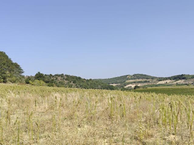 Terrain vente à Limoux, Pauligne