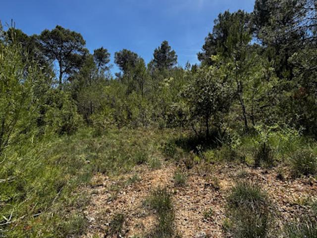 Terrain vente à Arrondissement de Draguignan, Les Arcs