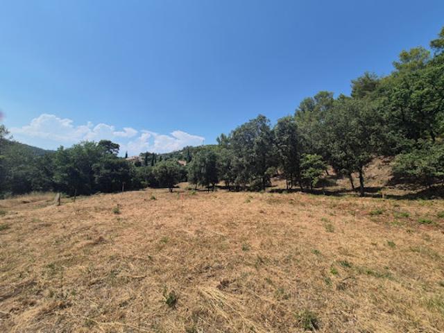 Terrain vente à Arrondissement de Draguignan, Taradeau