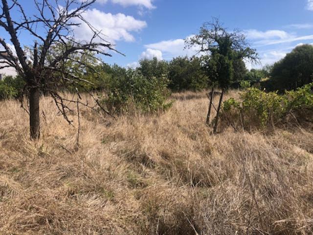 Terrain vente à Faubourg d'Angoulême, Cognac