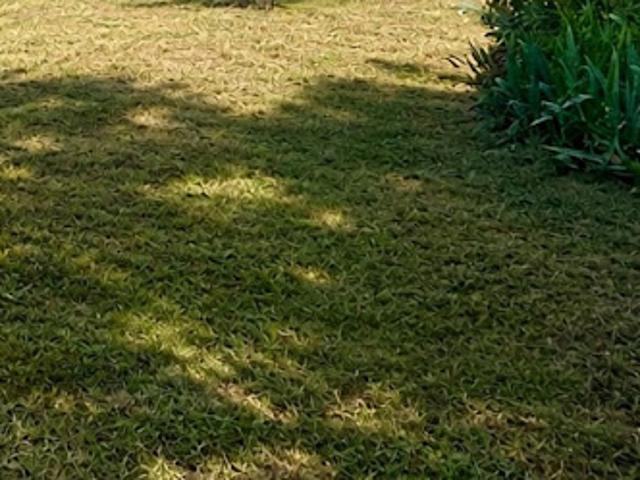 Terrain vente à Brive-la-Gaillarde, Brive-la-gaillarde