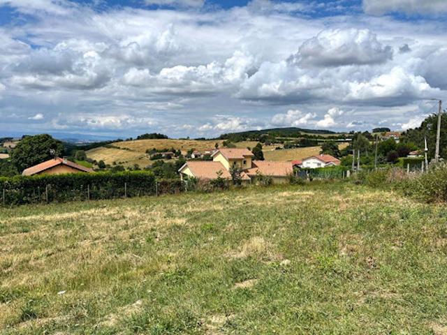 Terrain vente à Roanne, Violay