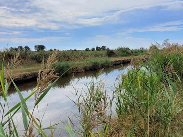 Terrain vente à France métropolitaine, Saint-bonnet-sur-gironde