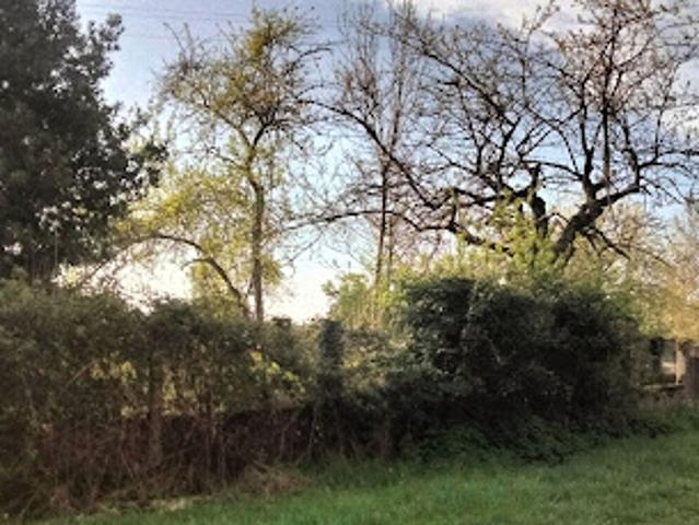 Terrain vente à Cosne-Cours-sur-Loire, Raveau