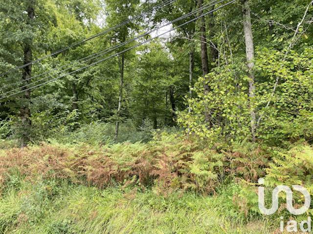 Terrain vente à Tarbes, Bonnefont