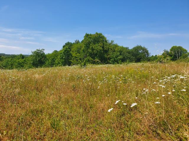 Terrain vente à Saint-laurent-d'arce