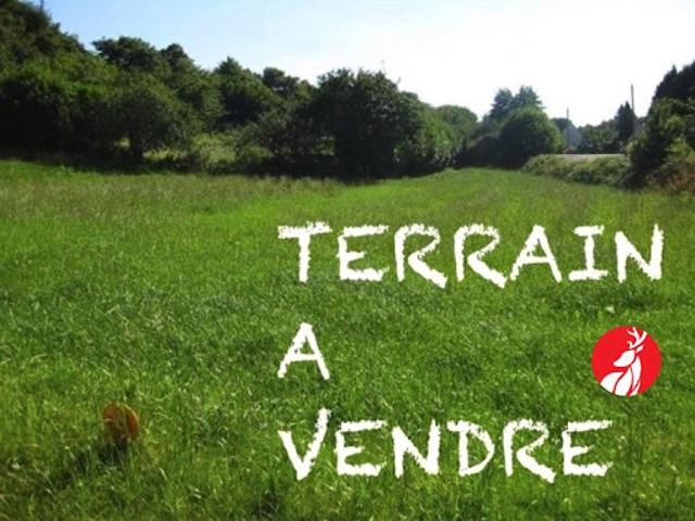 Terrain vente à Fontainebleau, Amponville