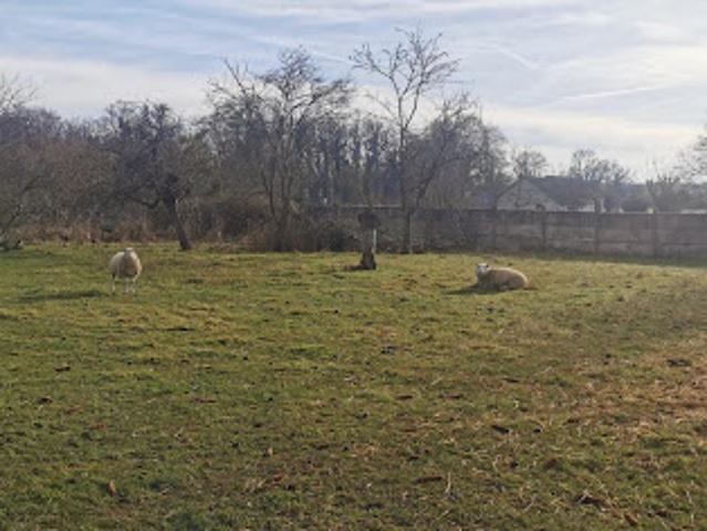 Terrain vente à France métropolitaine, Saint-loup