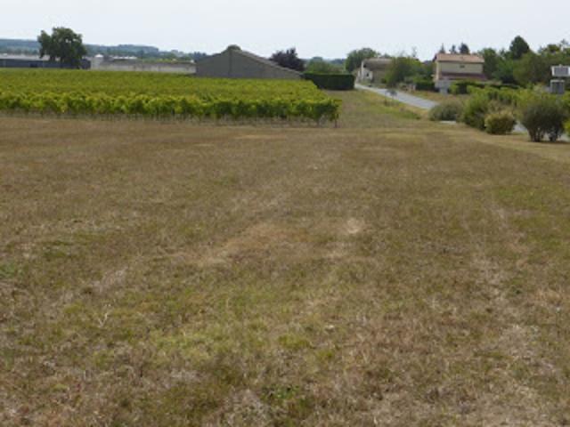 Terrain vente à Jonzac, Brie-sous-archiac