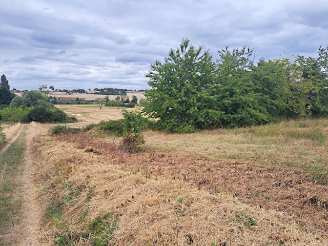 Terrain vente à Châtellerault
