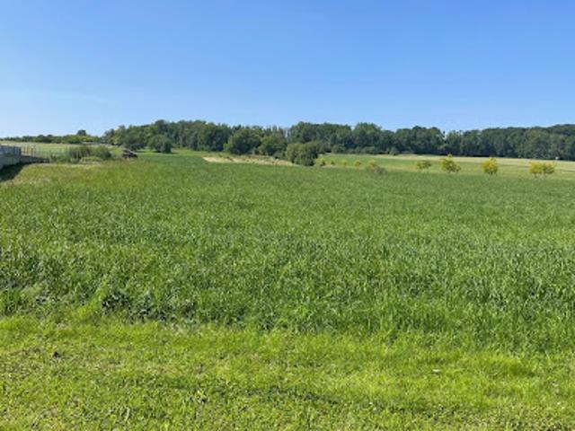 Terrain vente à Mulhouse, Rantzwiller
