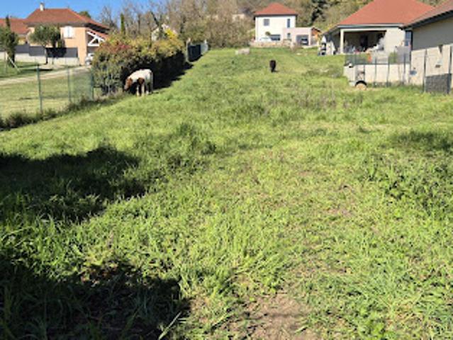 Terrain vente à Lotissement Pierres Plantées, Trept