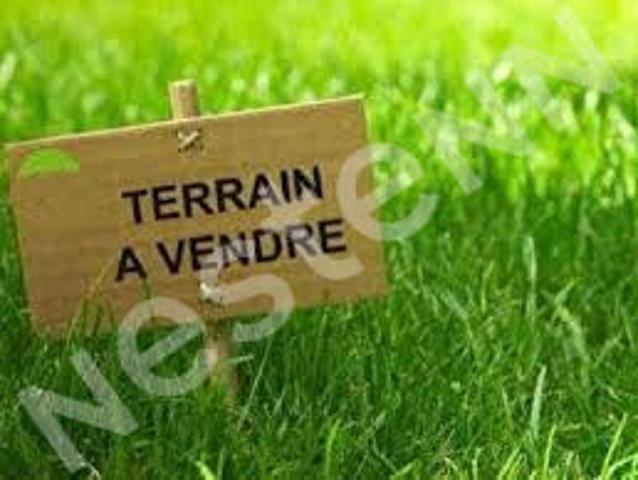 Terrain vente à Reims, Verzenay