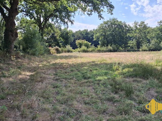 Terrain vente à Le Chêne, Vertou