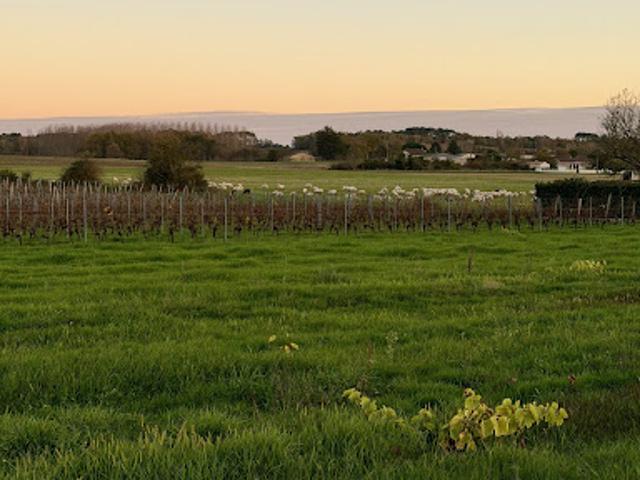 Terrain vente à France métropolitaine, Reignac