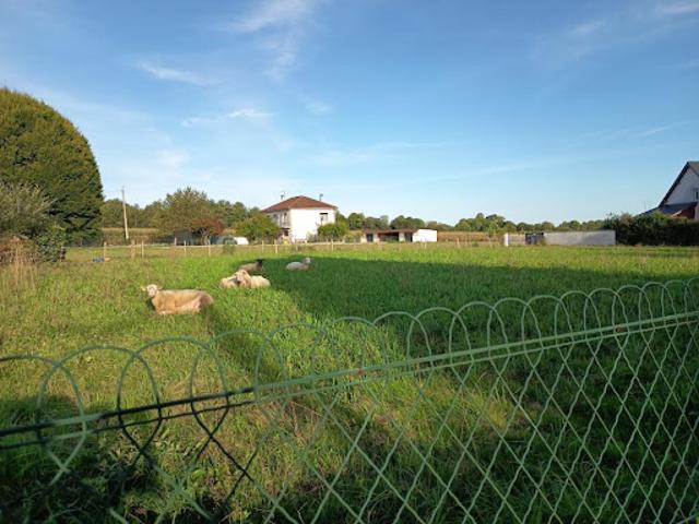 Terrain vente à Pau, Pontacq