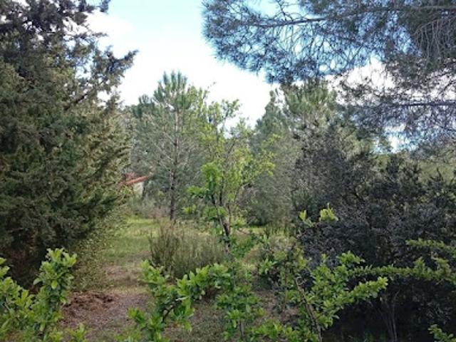 Terrain vente à Céret, Le Boulou