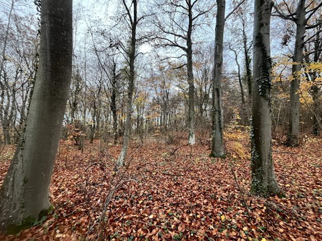 Terrain vente à Soissons