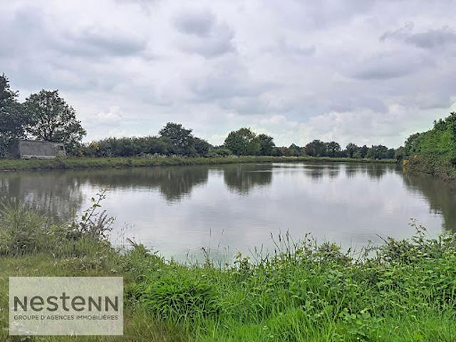Terrain vente à La Roche-sur-Yon, Grand'landes
