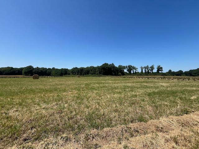 Terrain vente à France métropolitaine, Chérac