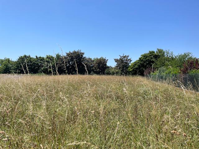 Terrain vente à Muret, Martres-tolosane