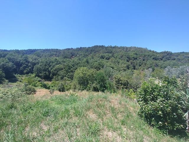 Terrain vente à Salavas, Ardèche