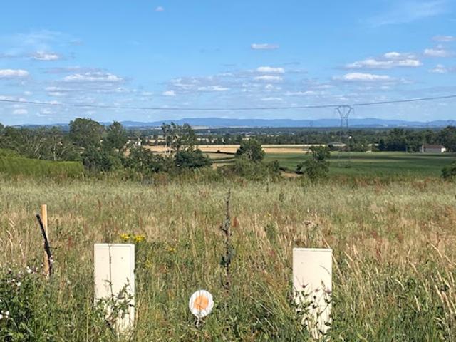Terrain vente à Vichy, Saint-pourçain-sur-sioule