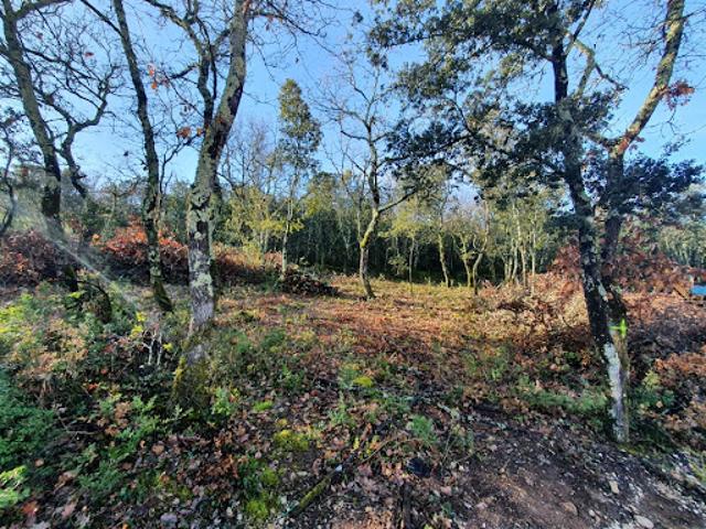 Terrain vente à Largentière, Labastide-de-virac