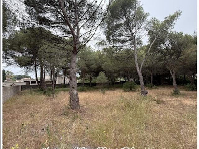 Terrain vente à Béziers, Agde
