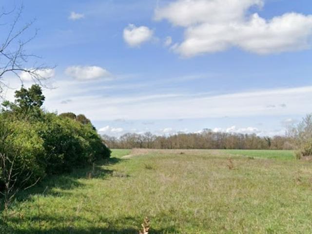 Terrain vente à Muret, Longages