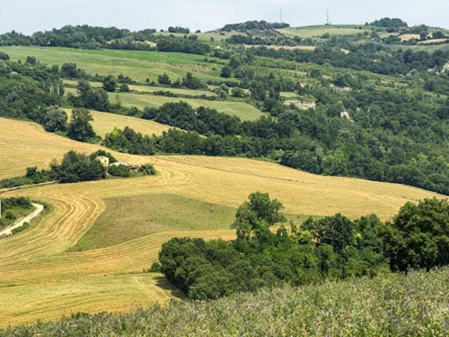Terrain vente à Sarlat-la-Canéda, Montignac