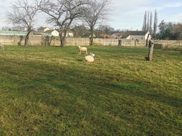 Terrain vente à France métropolitaine, Saint-loup