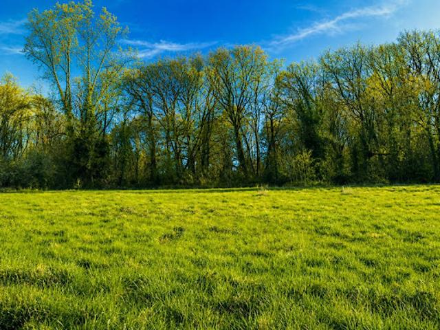 Terrain vente à Périgueux, Trélissac