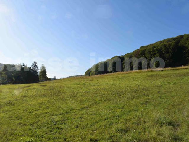 Terrain vente à Montbéliard, Sancey-le-long