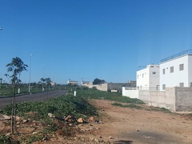 Terrain vente à Témara, Rabat-Salé-Zemmour-Zaër