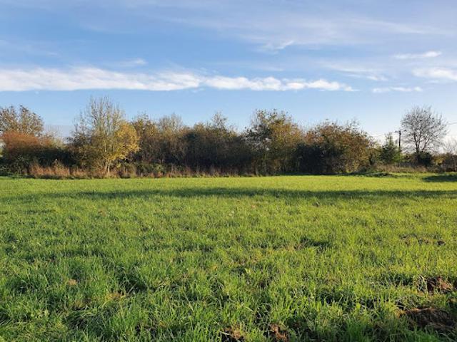 Terrain vente à Fontenay-le-Comte, Benet