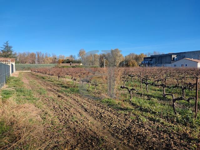 Terrain vente à Richerenches