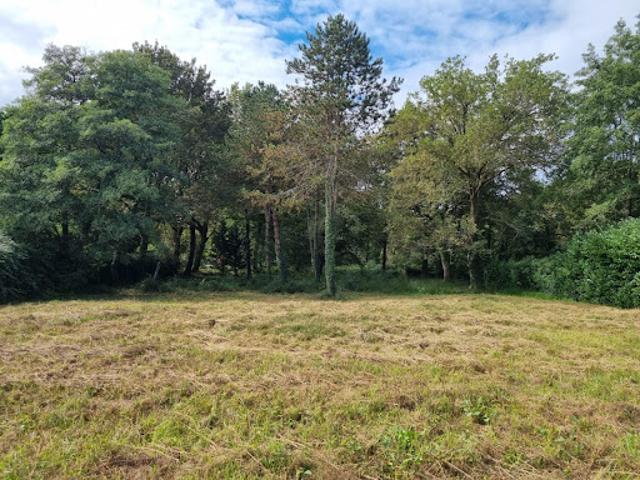 Terrain vente à Dax, Bénesse-maremne