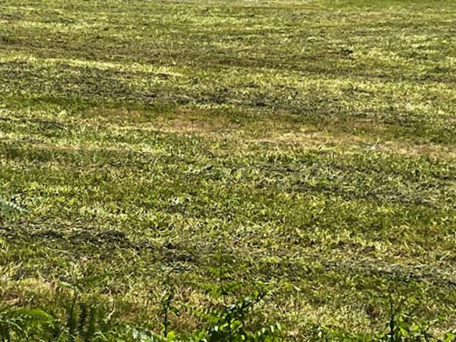 Terrain vente à France métropolitaine, Pons