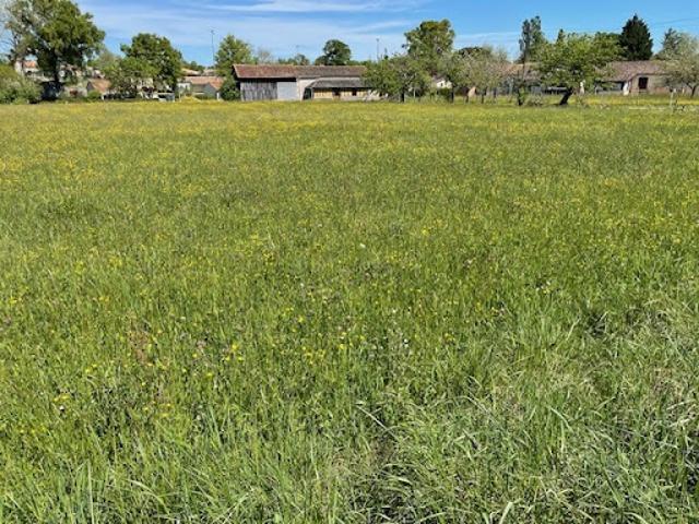 Terrain vente à Villeneuve-sur-Lot, Villeréal