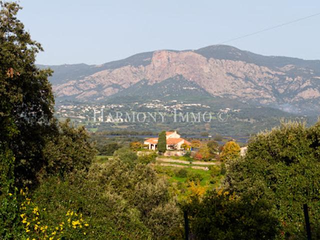 Terrain vente à Ajaccio