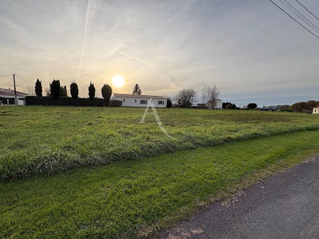 Terrain vente à France métropolitaine, Bois