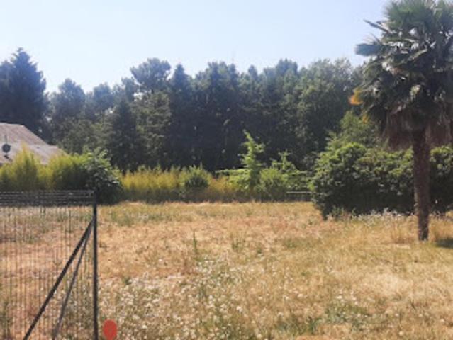 Terrain vente à Zone d'Activités du Grand Pin, Changé