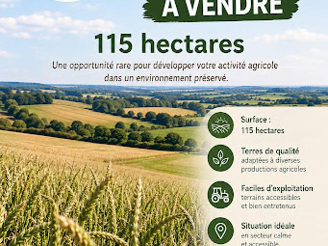 Terrain vente à Montmorillon, Queaux