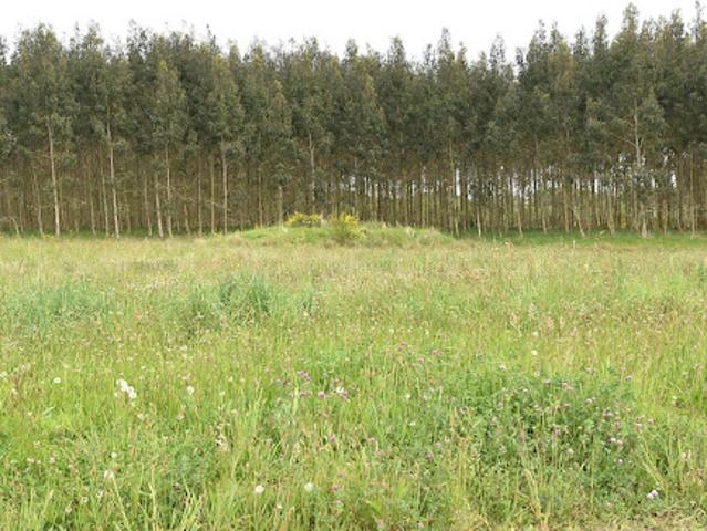 Terrain vente à Bats, Landes