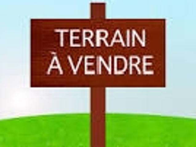 Terrain vente à France métropolitaine, Cars
