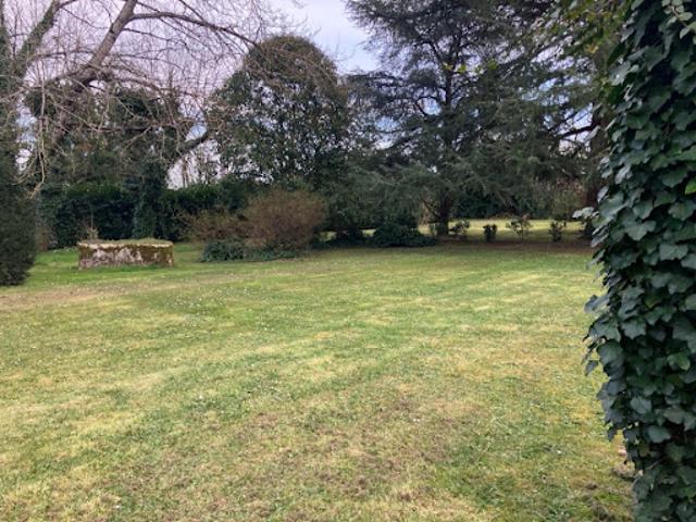 Terrain vente à France métropolitaine, Cognac