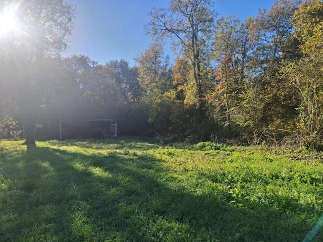 Terrain vente à France métropolitaine, Saujon