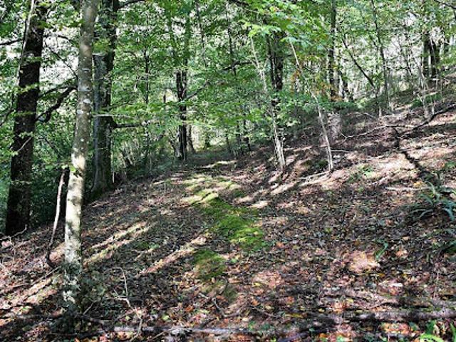 Terrain vente à Meaux, Saint-jean-les-deux-jumeaux