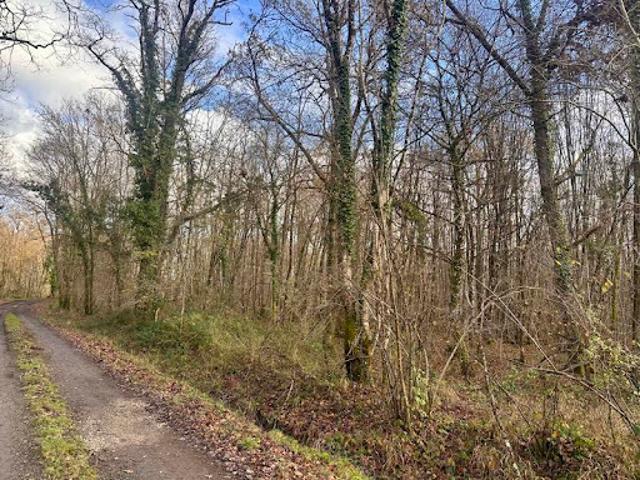Terrain vente à Blois, Fontaines-en-sologne